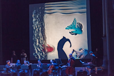 Il Carnevale Degli Animali 03 Low