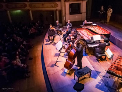 Il Carnevale Degli Animali 06 Low