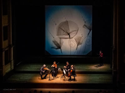 Mozart, Ninette E La Danza 05 Low